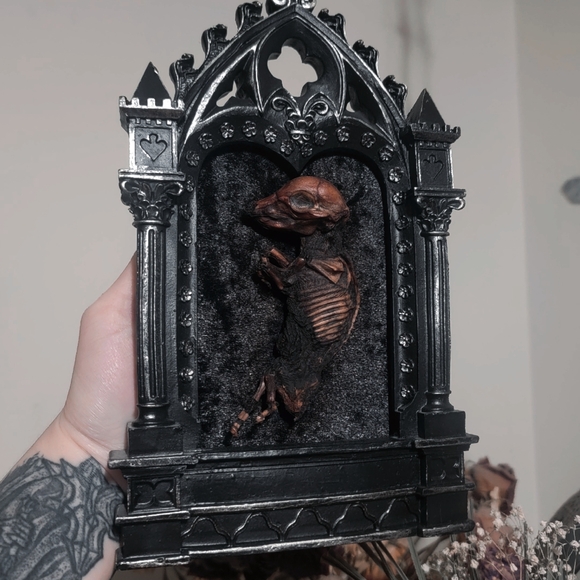 Gothic Mummified Piglet Display - Picture 5 of 6